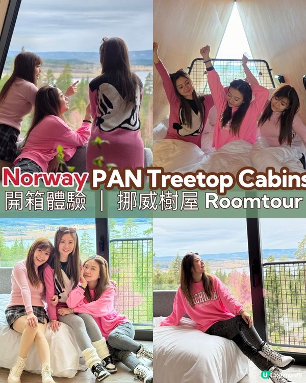🌲🌳樹屋開箱！超靚環境，放鬆心情首選！🤩