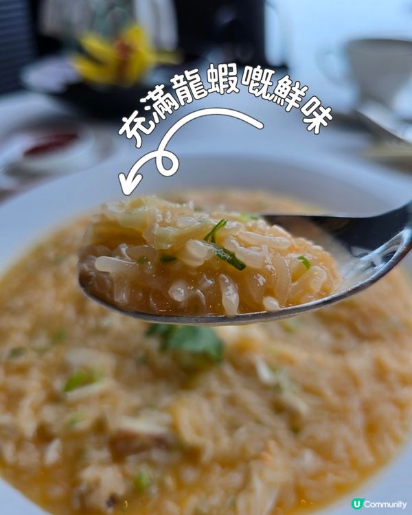 ✨ 米芝蓮二星天龍軒 🍴 舌尖上的奢華體驗！😍✨
