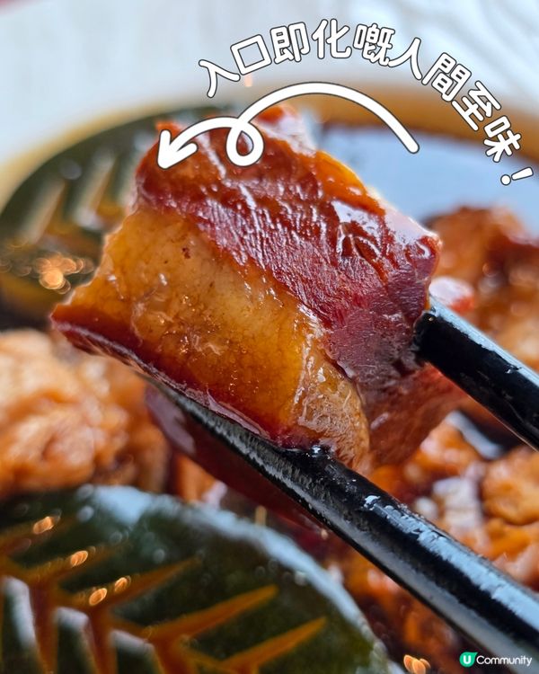 ✨ 米芝蓮二星天龍軒 🍴 舌尖上的奢華體驗！😍✨
