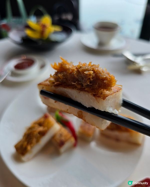 ✨ 米芝蓮二星天龍軒 🍴 舌尖上的奢華體驗！😍✨
