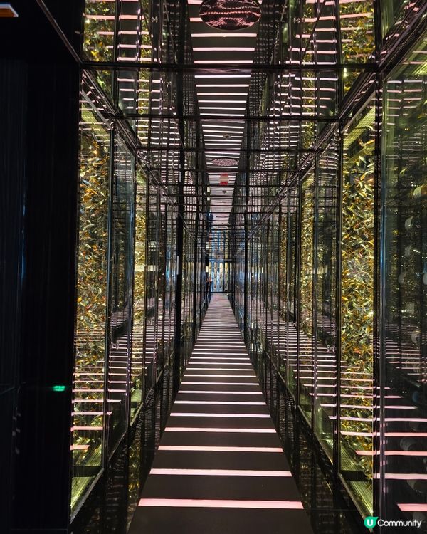 ✨ 米芝蓮二星天龍軒 🍴 舌尖上的奢華體驗！😍✨
