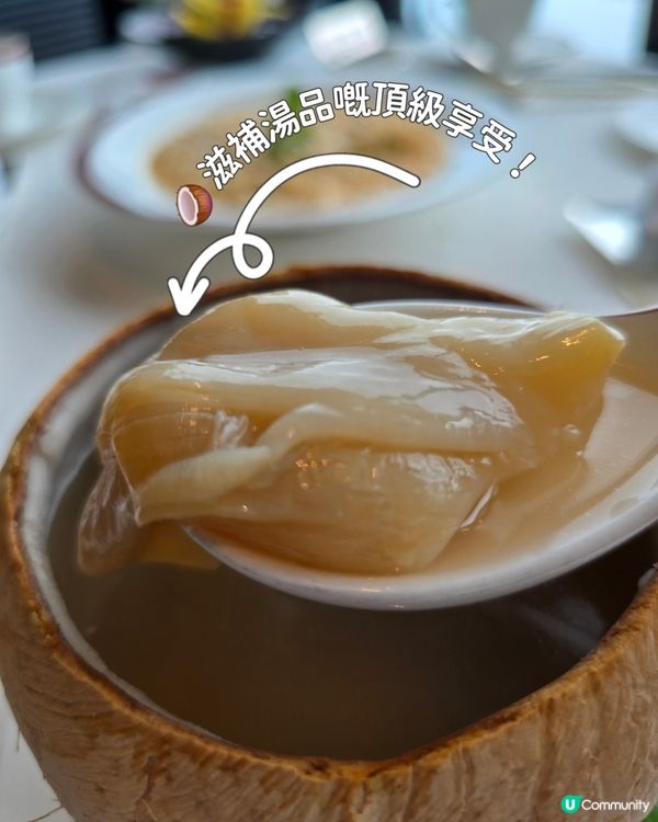 香港麗思卡爾頓天龍軒🤩  米芝蓮二星粵菜體驗！