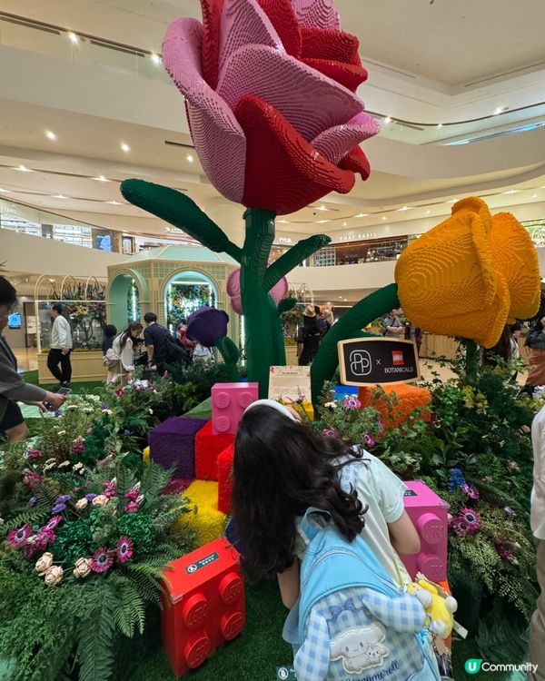 太古廣場🌹LEGO花園盛放！