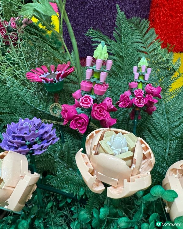 太古廣場🌹LEGO花園盛放！