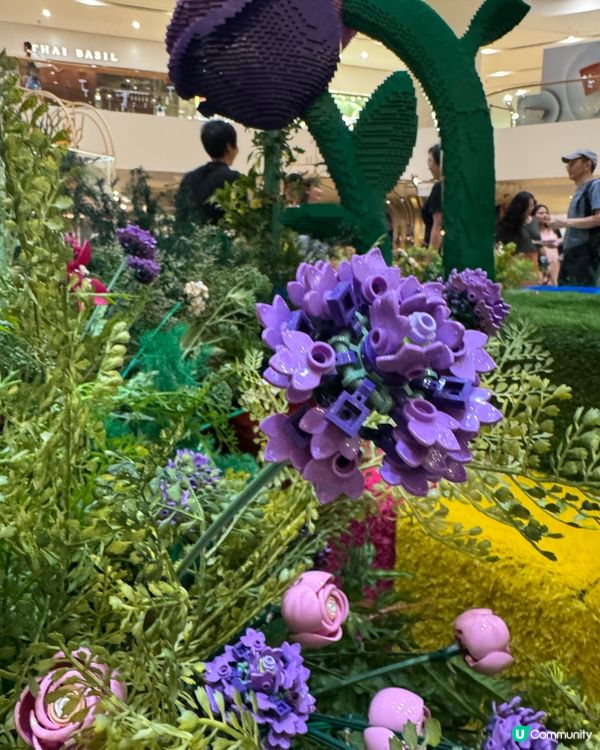 太古廣場🌹LEGO花園盛放！