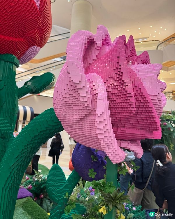太古廣場🌹LEGO花園盛放！