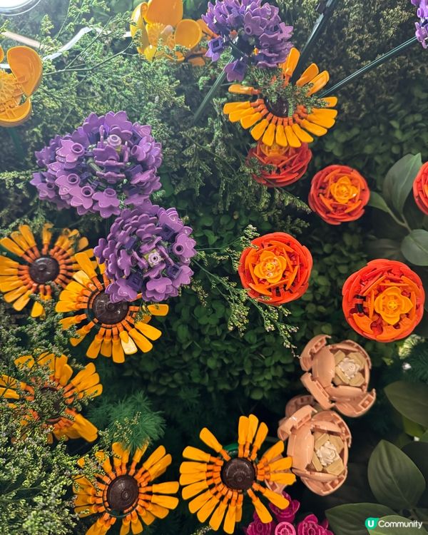 太古廣場🌹LEGO花園盛放！