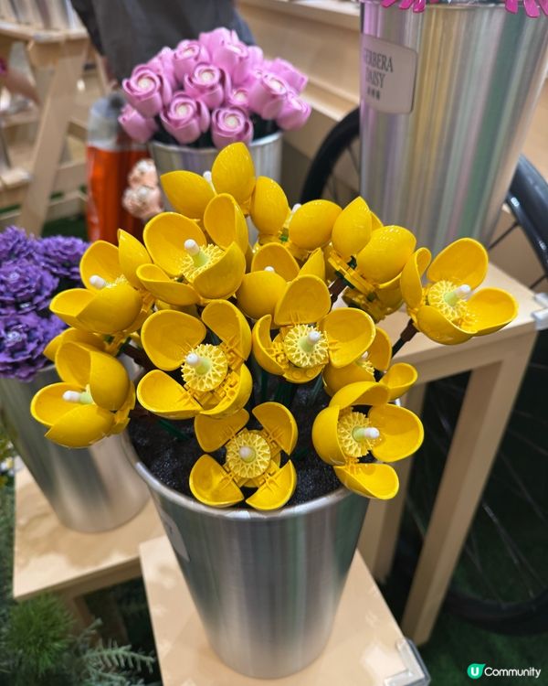 太古廣場🌹LEGO花園盛放！