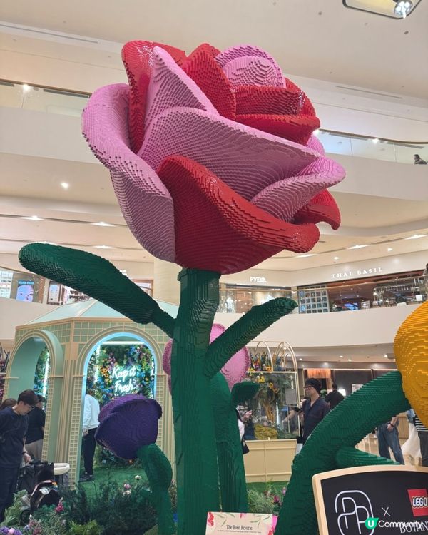太古廣場🌹LEGO花園盛放！