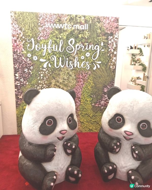 🐼😀呢度有個熊貓公仔corner