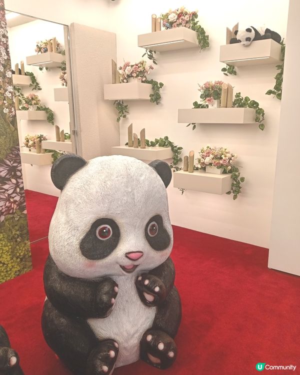 🐼😀呢度有個熊貓公仔corner