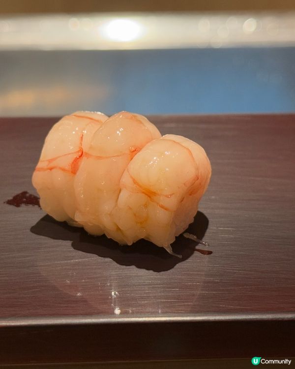 Omakase好正呀！🤩 食到停唔到！