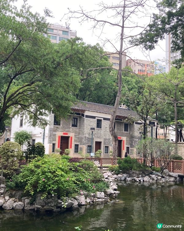 遊走荃灣的面貌