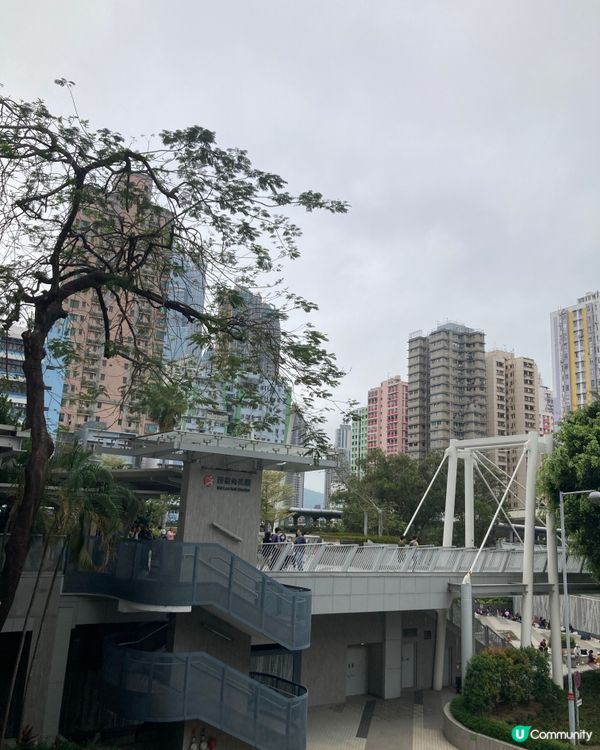 遊走荃灣的面貌