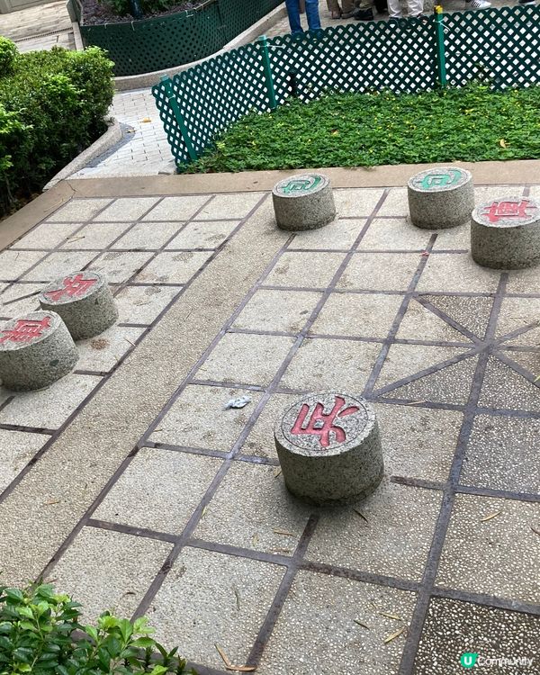 遊走荃灣的面貌