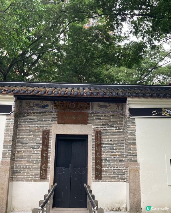 遊走荃灣的面貌