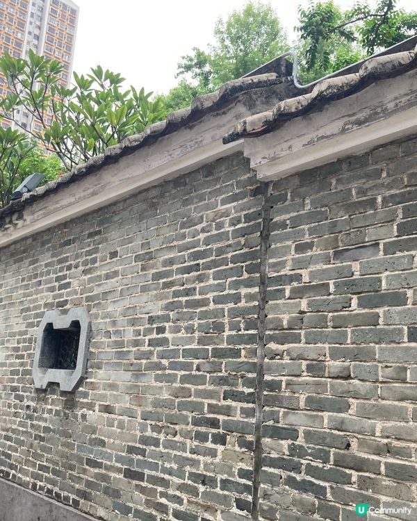 遊走荃灣的面貌