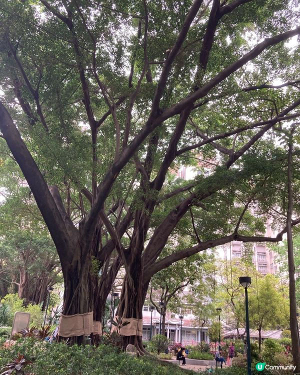 遊走荃灣的面貌