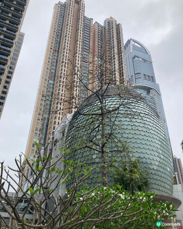 遊走荃灣的面貌