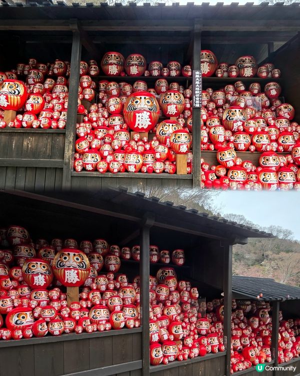 大阪勝尾寺🙏🏻  祈願勝利達摩