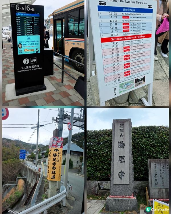 大阪勝尾寺🙏🏻  祈願勝利達摩