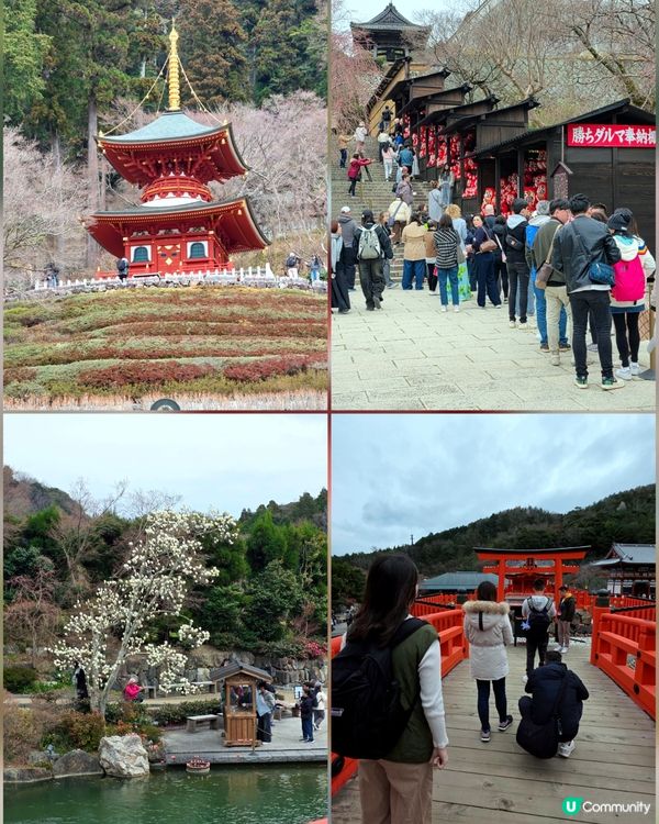 大阪勝尾寺🙏🏻  祈願勝利達摩