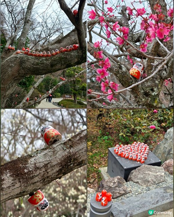 大阪勝尾寺🙏🏻  祈願勝利達摩