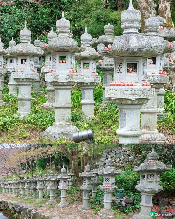 大阪勝尾寺🙏🏻  祈願勝利達摩