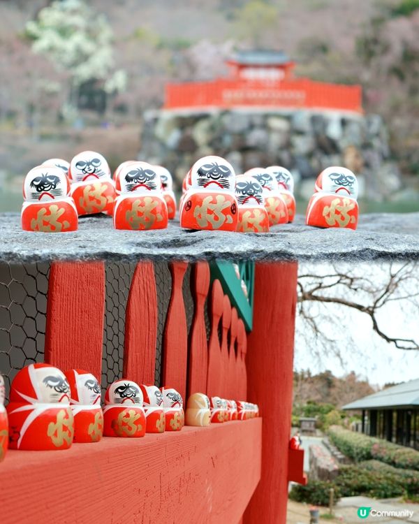 大阪勝尾寺🙏🏻  祈願勝利達摩