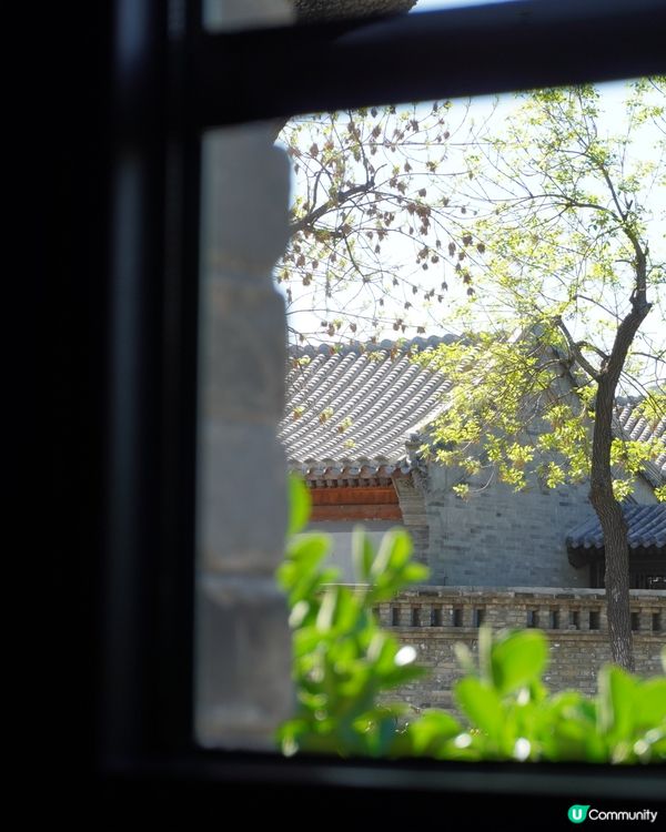 賞瓦頂綠意，享摩卡沙拉炸雞漢堡的幸福滋味！