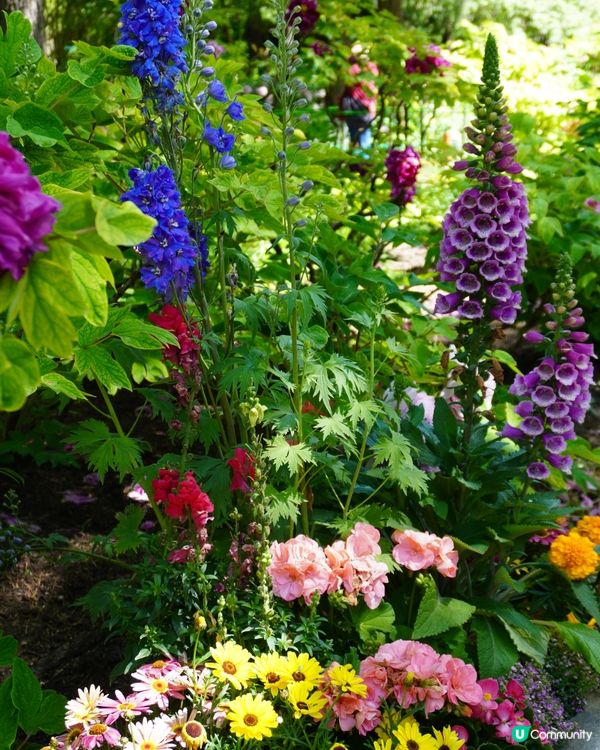 景山公園俯瞰故宮+打卡花花冰條