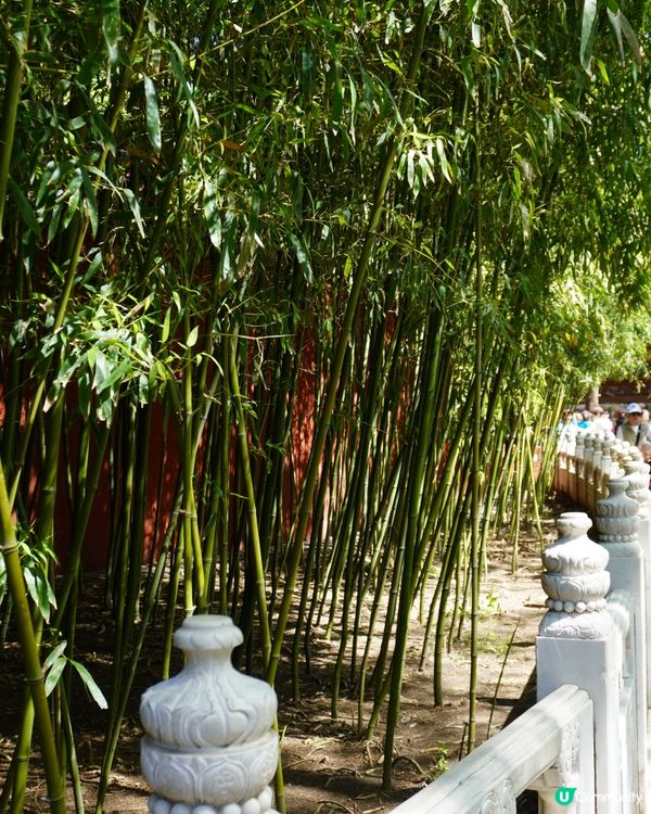 景山公園俯瞰故宮+打卡花花冰條