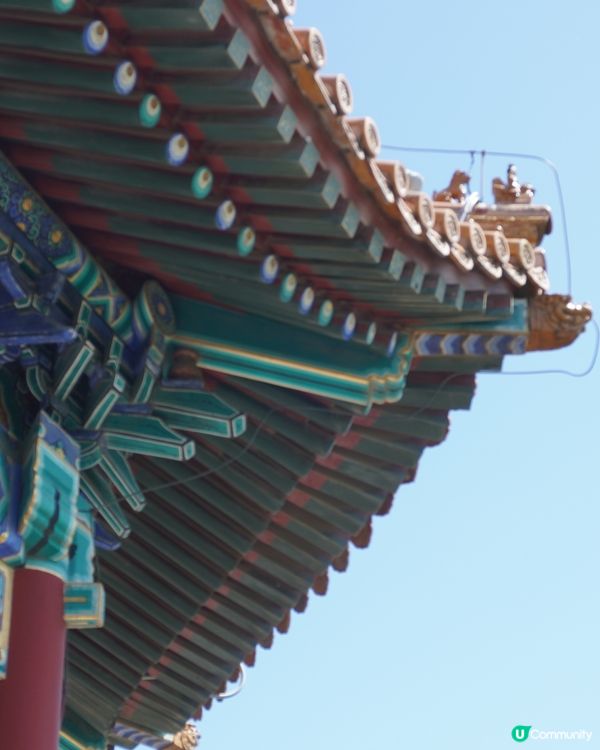 景山公園俯瞰故宮+打卡花花冰條