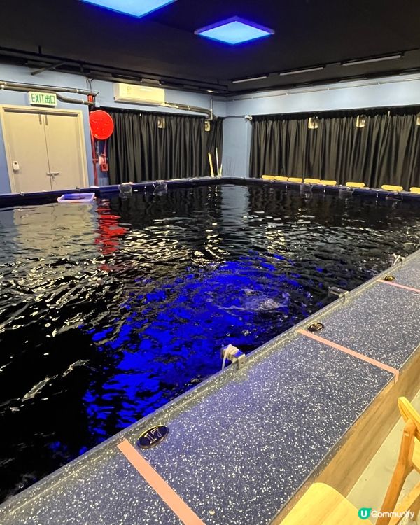 釣蝦體驗，鹽燒大蝦好好食🦐