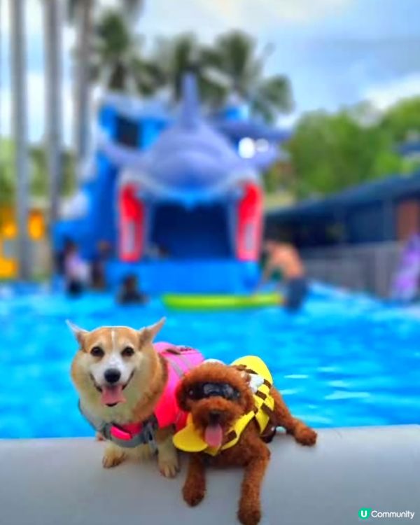 🐶 五月半價游水啦！避暑山莊等你！