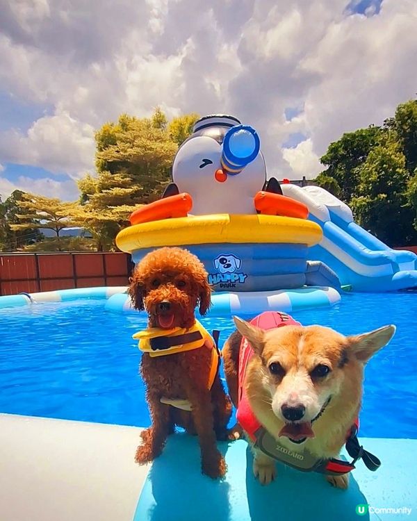 🐶 五月半價游水啦！避暑山莊等你！