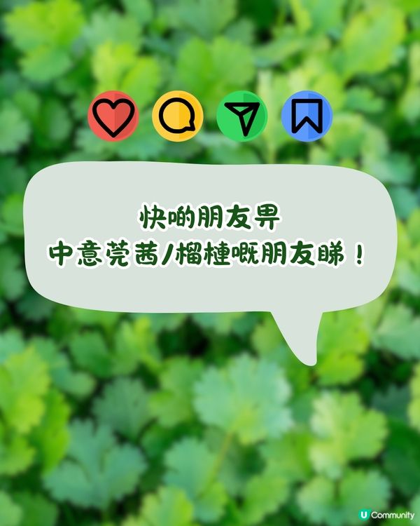 台灣新岀2款零食！超衝擊芫荽味Doritos/榴槤味樂事Lay's薯片！網民:是什麼邪教?