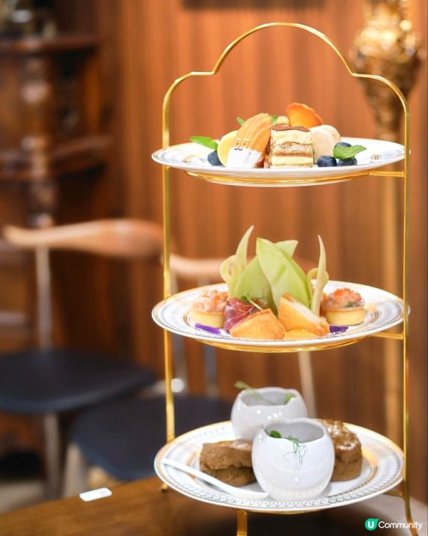 灣仔室內毛孩友善 新增高質下午茶