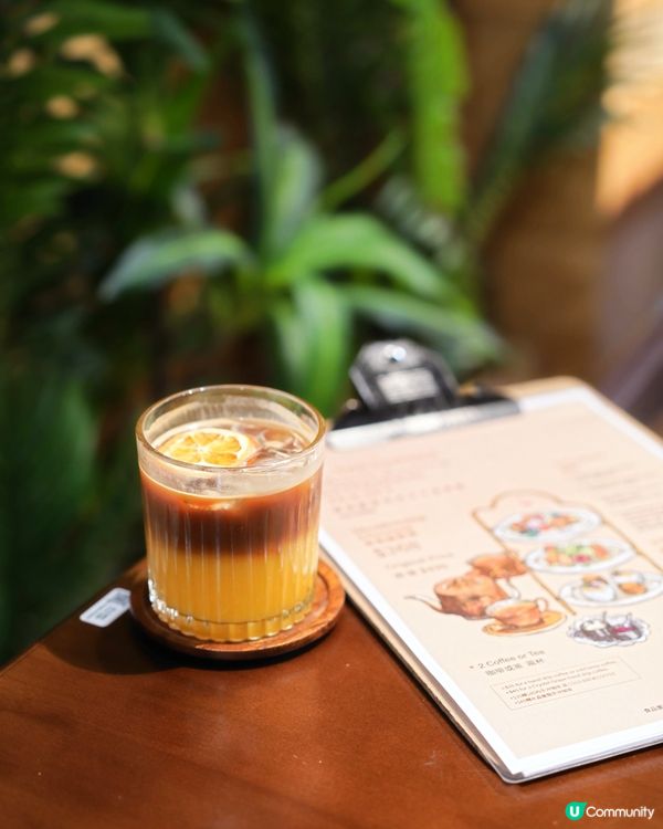 灣仔室內毛孩友善 新增高質下午茶