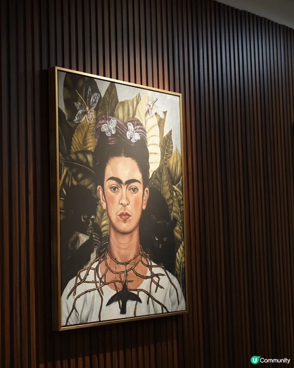 灣仔室內毛孩友善 新增高質下午茶