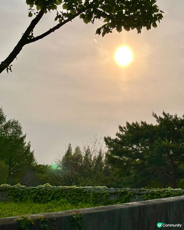 【首爾秘境推介】仙遊島公園｜小島上的秘密叢林＋漢江靚景涼亭！