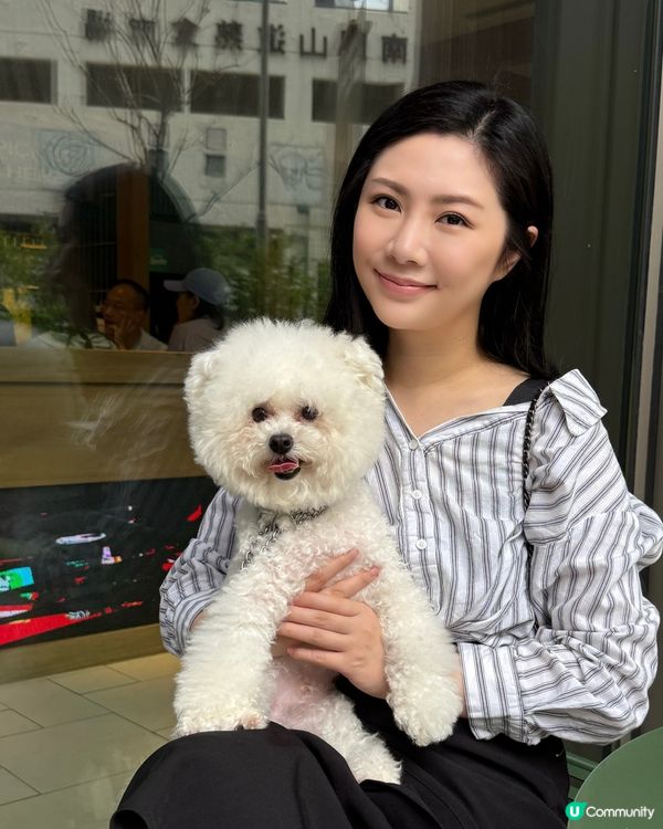 港島新寵地🐶🐱  市集玩到停唔到！ 🎉