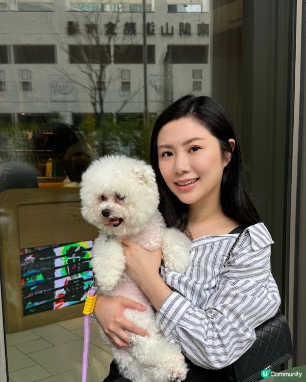 港島新寵地🐶🐱  市集玩到停唔到！ 🎉