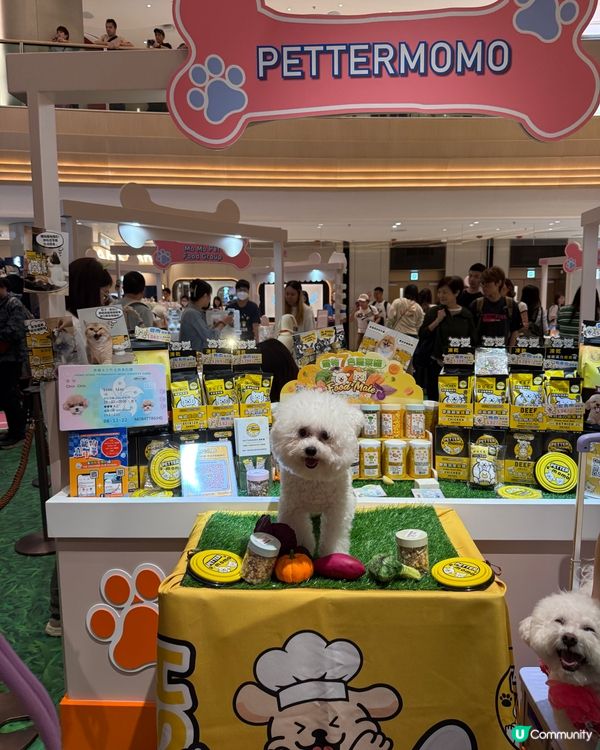 港島新寵地🐶🐱  市集玩到停唔到！ 🎉