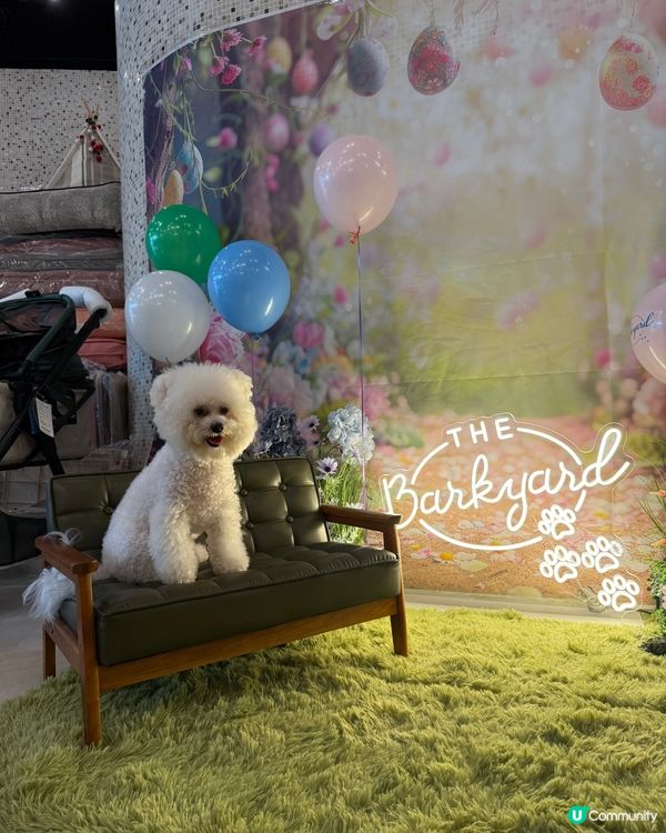 港島新寵地🐶🐱  市集玩到停唔到！ 🎉