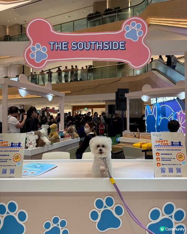 港島新寵地🐶🐱  市集玩到停唔到！ 🎉