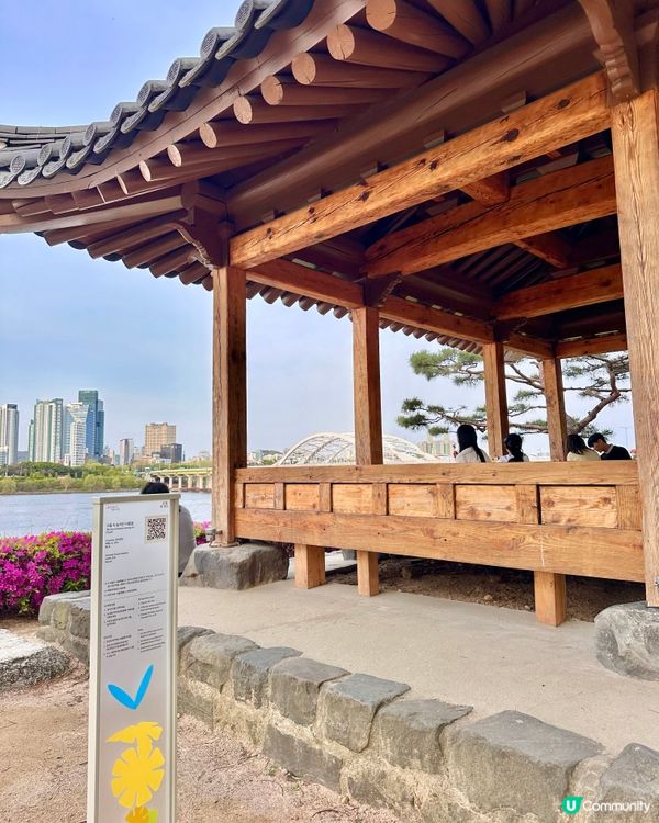 【首爾秘境推介】仙遊島公園｜小島上的秘密叢林＋漢江靚景涼亭！