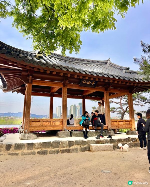 【首爾秘境推介】仙遊島公園｜小島上的秘密叢林＋漢江靚景涼亭！