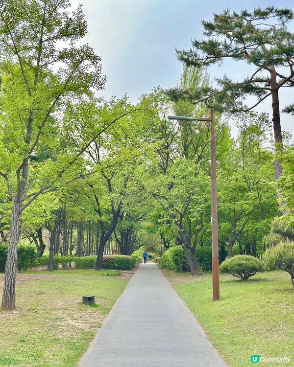 【首爾秘境推介】仙遊島公園｜小島上的秘密叢林＋漢江靚景涼亭！