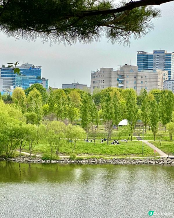 【首爾秘境推介】仙遊島公園｜小島上的秘密叢林＋漢江靚景涼亭！